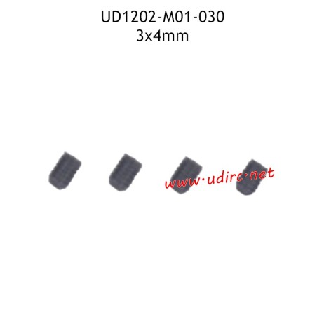 3X4MM Machine Screw M01-030 for UDIRC UD1202 RC Car