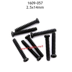 UDIRC UD1609 Parts 2.5X14MM PB Screws 1609-057